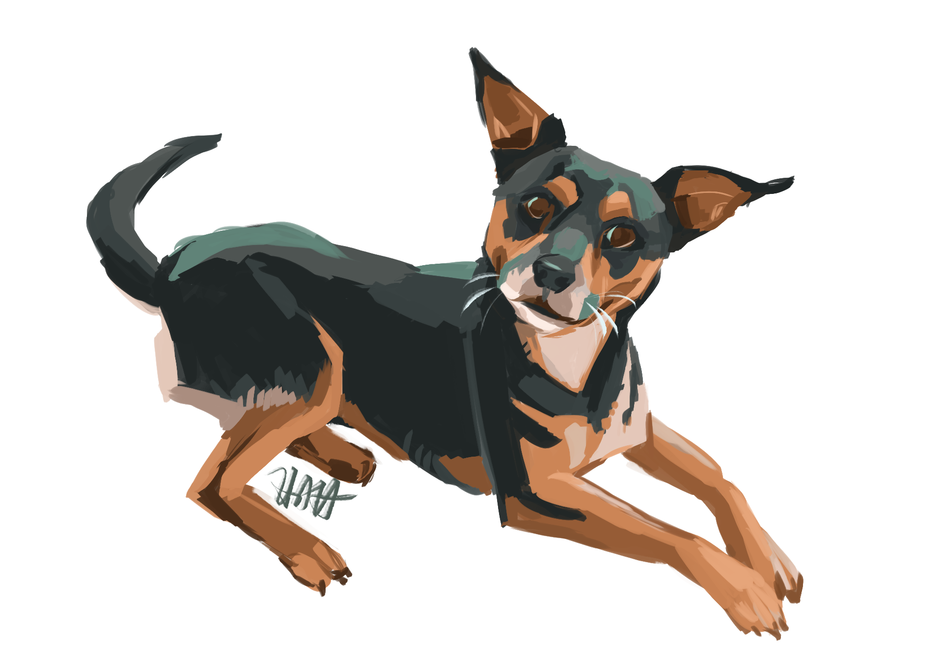 Dog Commission