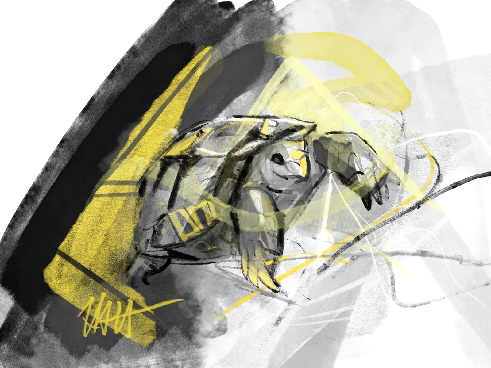 Tortoise_Imightbeanerd_1-16-19.png