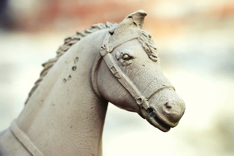 horse in paradise garden summerville, ga