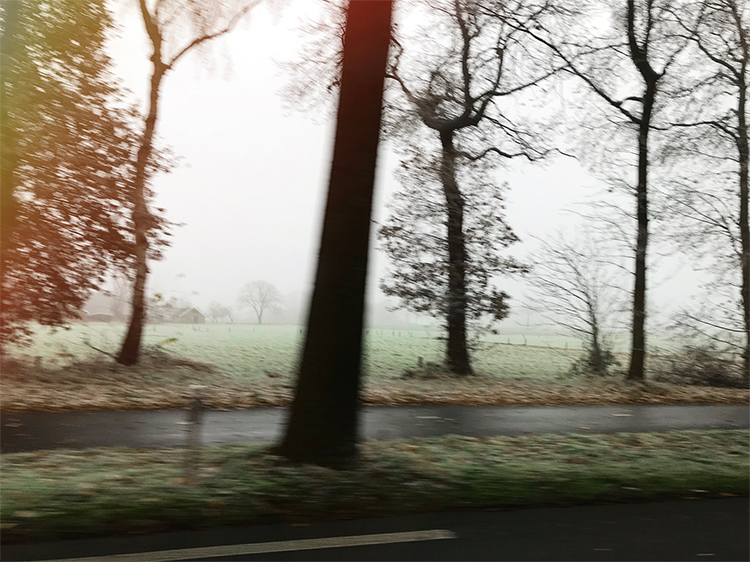 scenery