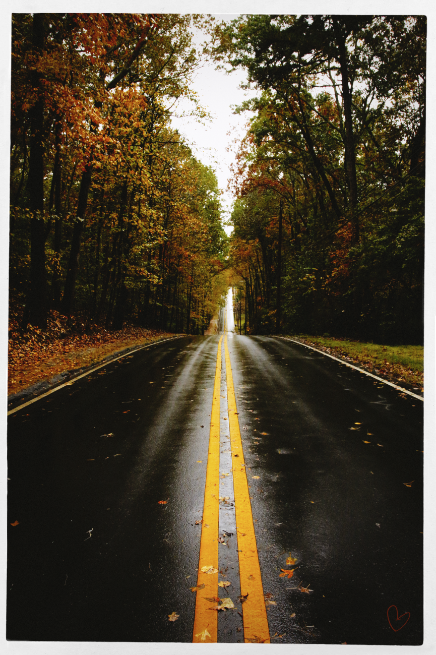rainy roads in georgia