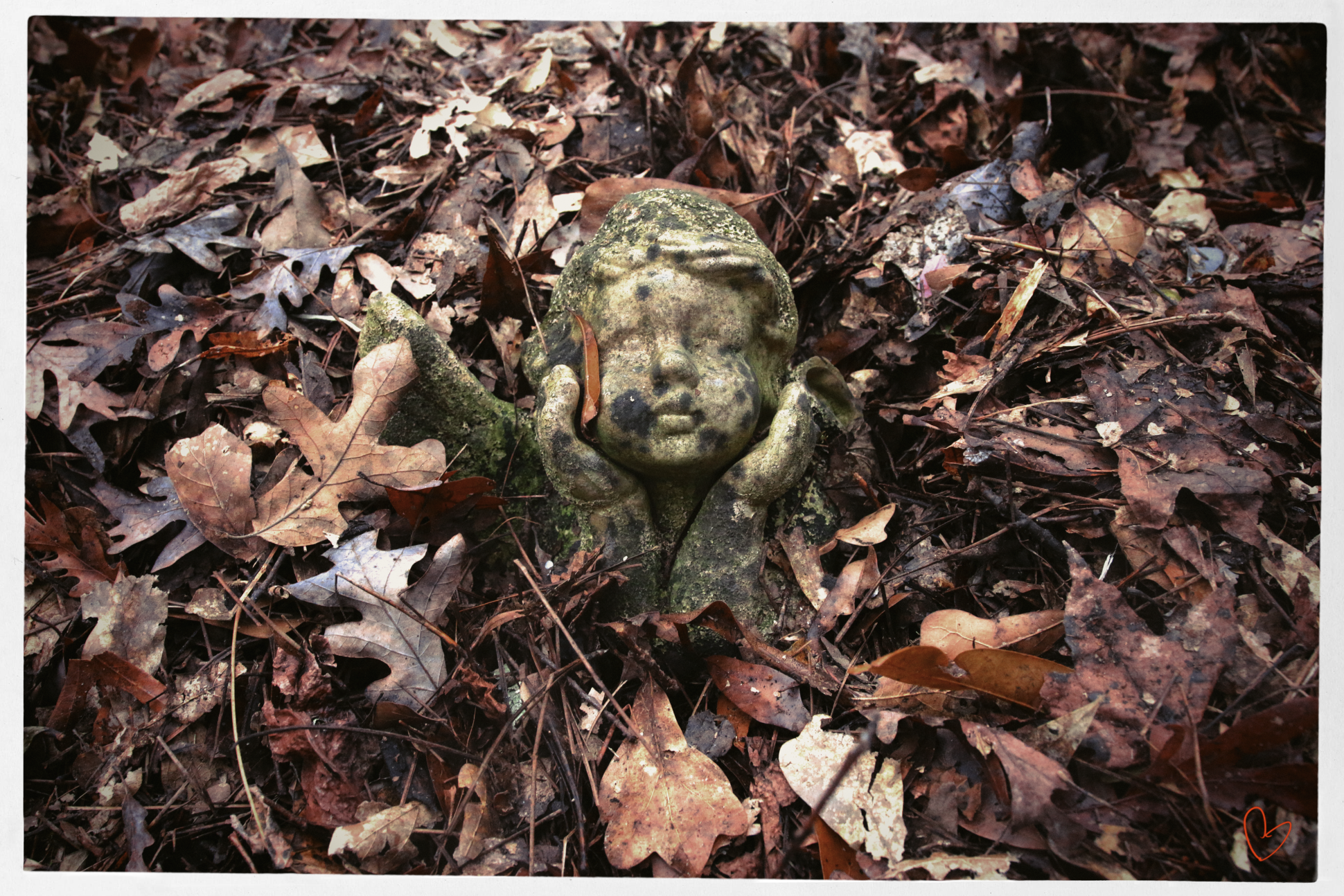 fall