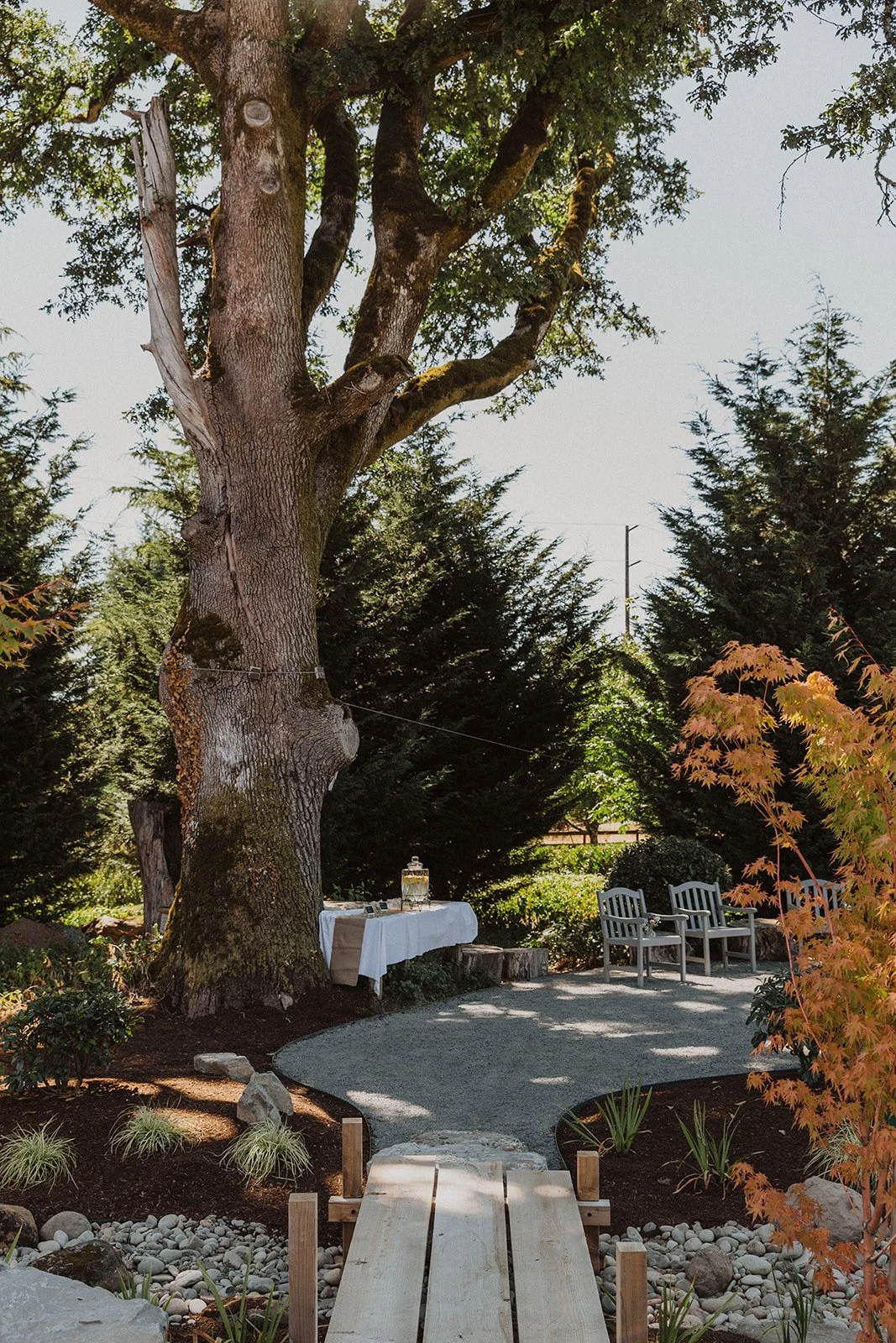 Garden ceremony space featuring a large tree, natural landscaping, and a small setup area for an intimate outdoor wedding
