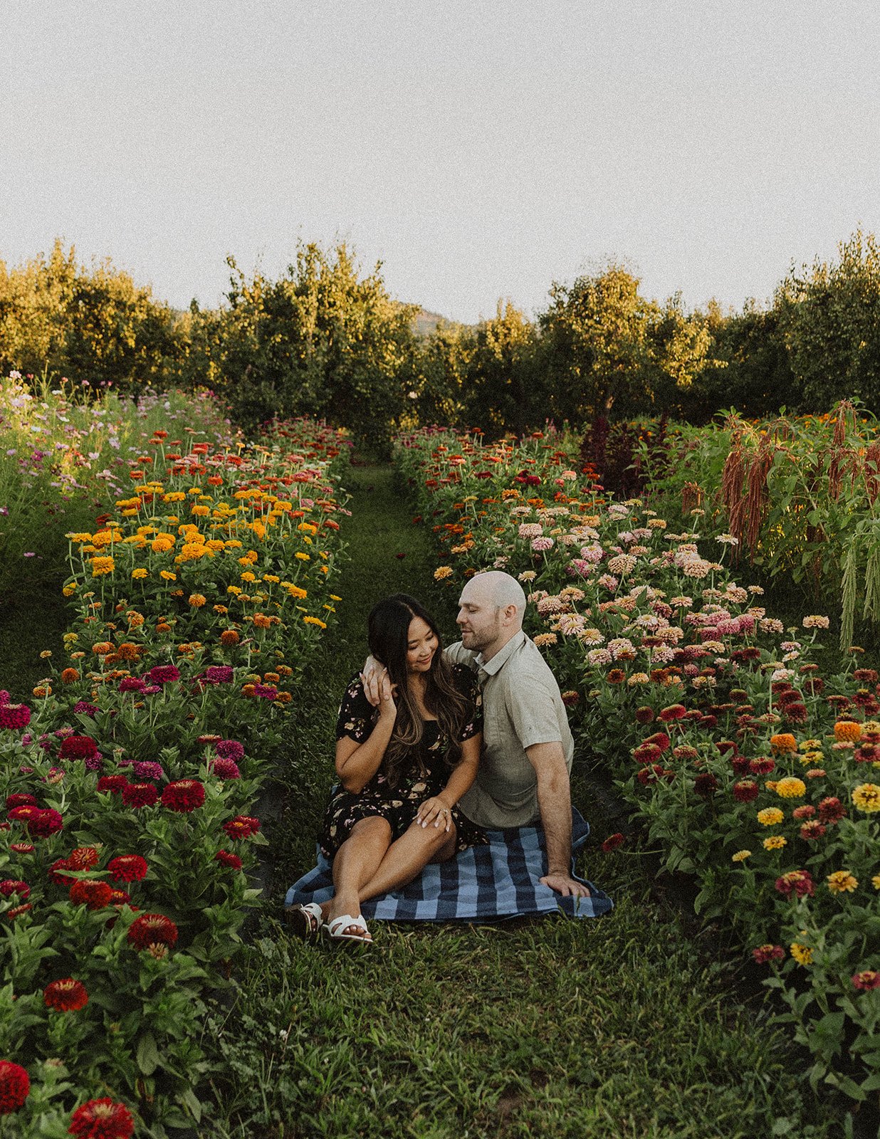 Engaged couple sitting on a blanket surrounded by blooming flowers at an Oregon flower farm.