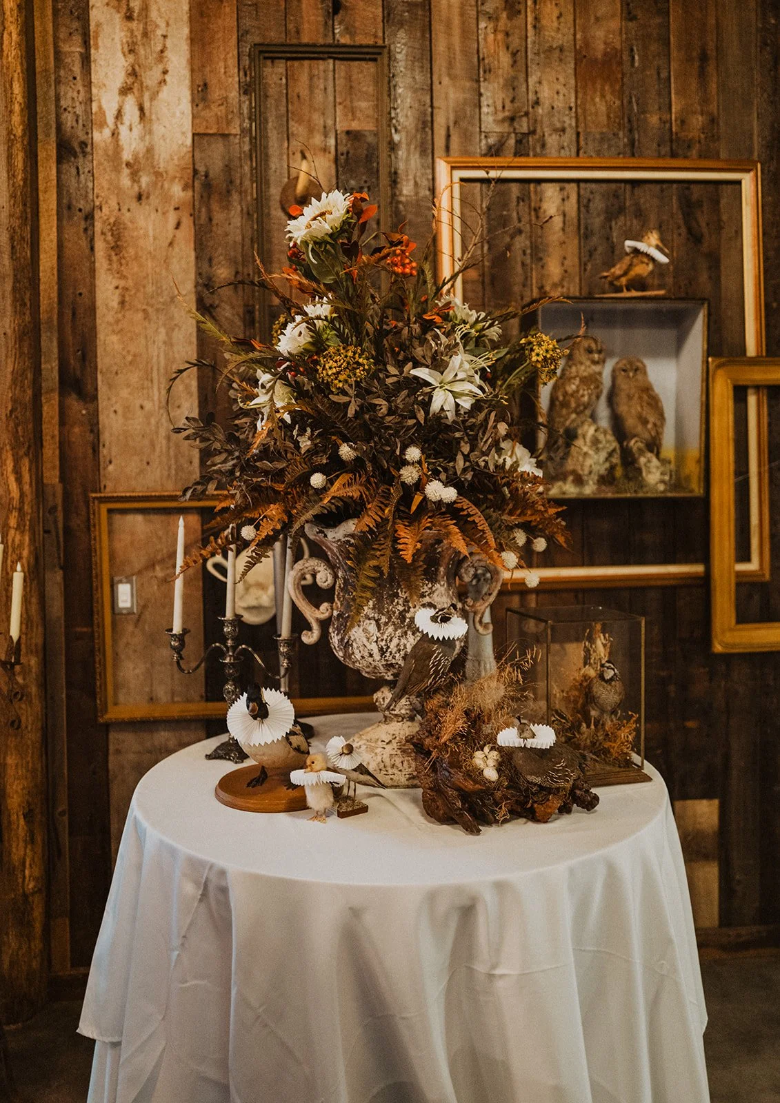 Nature-inspired wedding décor featuring preserved birds, vintage frames, florals, and antique vessels displayed inside Bright Morning Farm.
