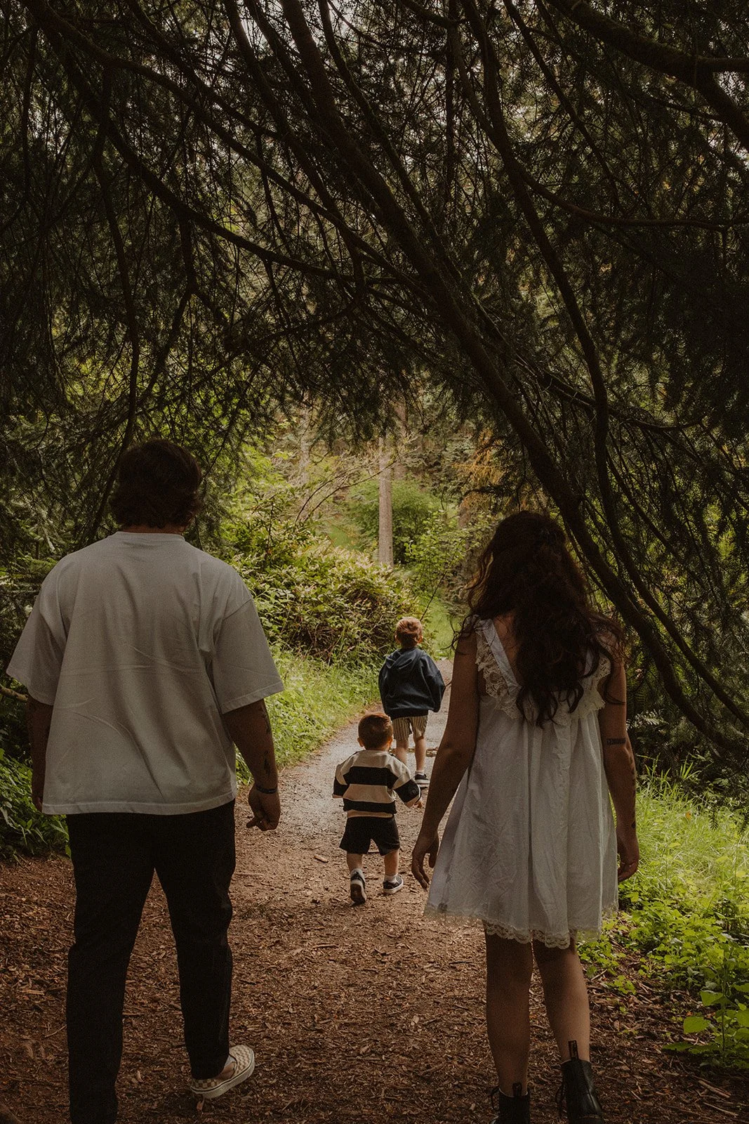 Wandering a forest trail with no particular place to be