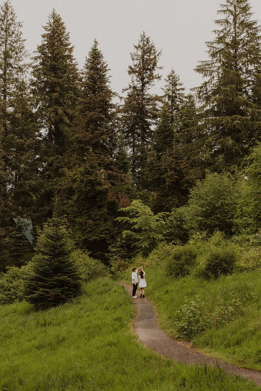 Light filtering through tall evergreens during an Oregon forest engagement session