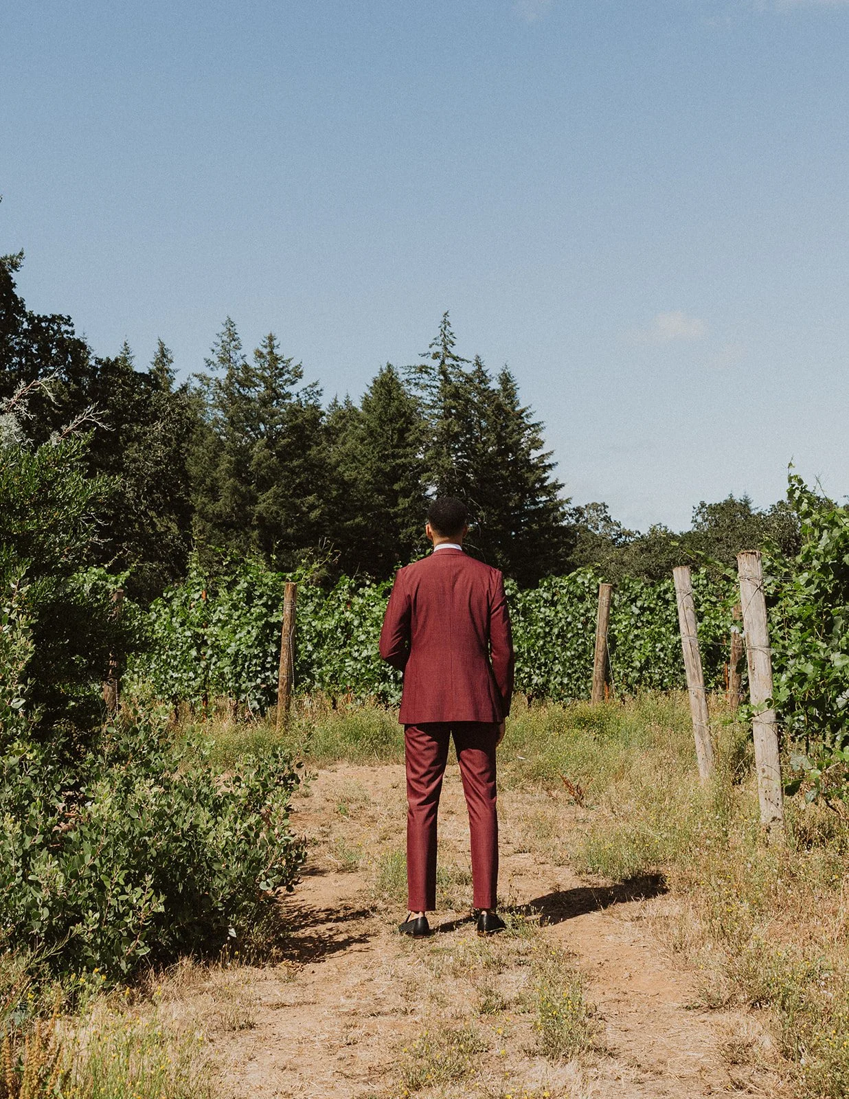 Seeing each other for the first time among the vineyard rows