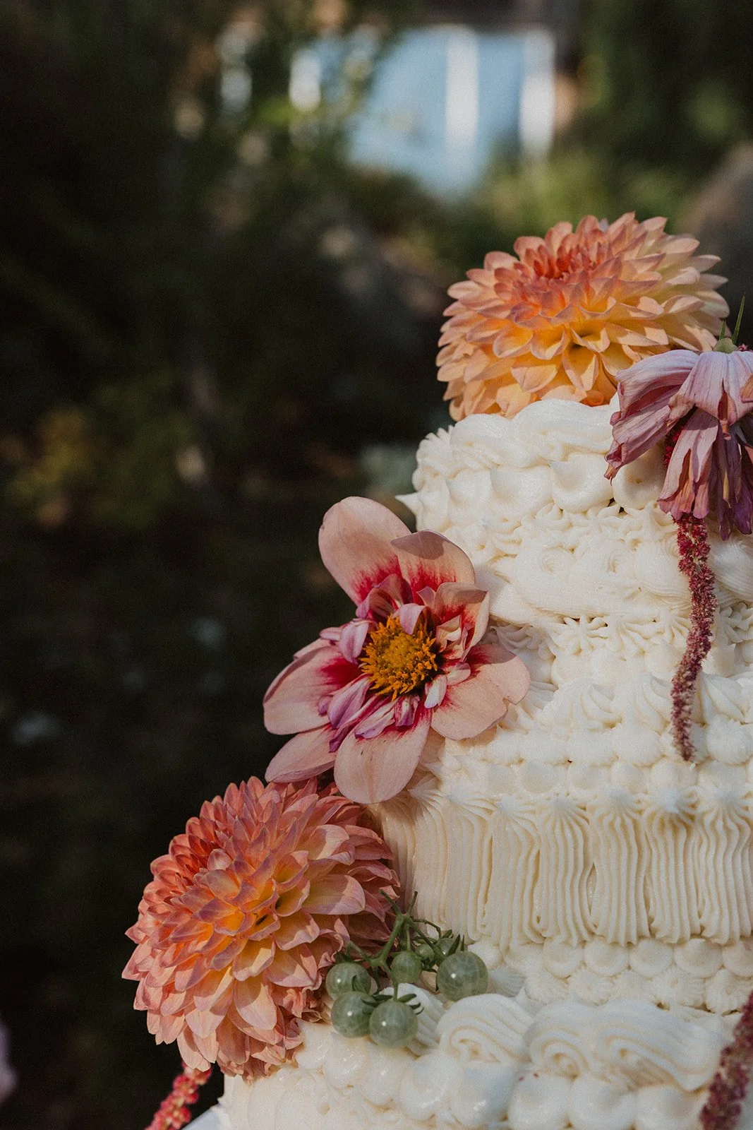 Buttercream cake trimmed with dahlias and green tomatoes at Rocky Hill
