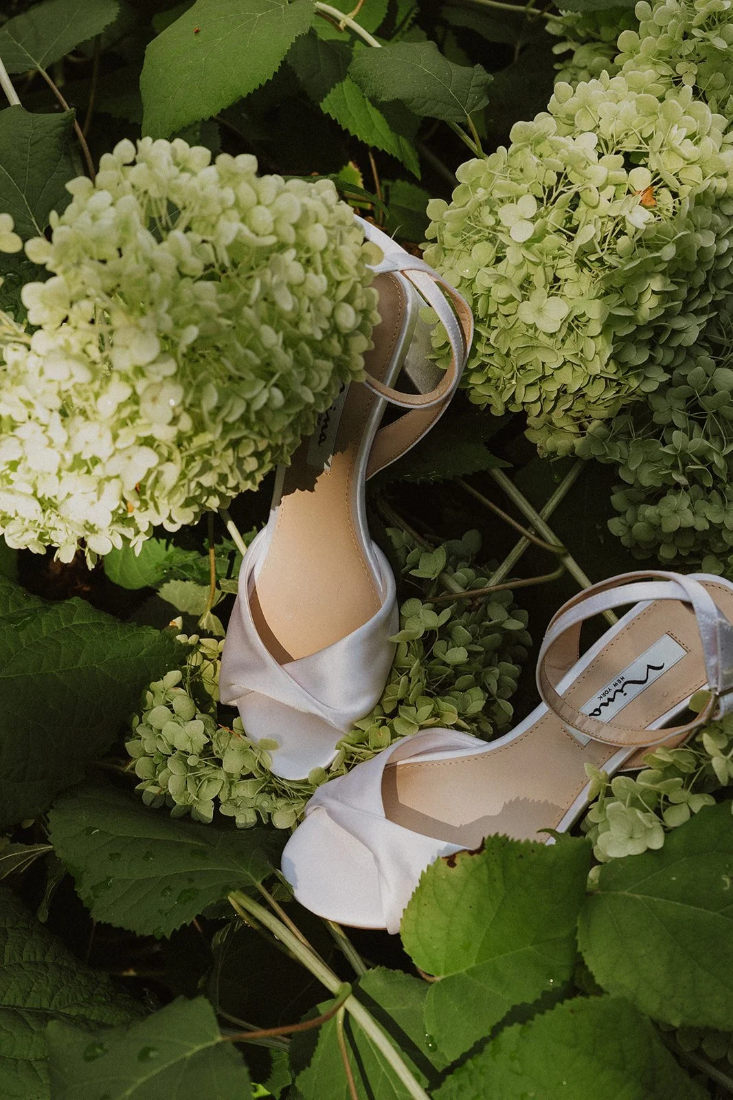 Satin wedding heels tucked into hydrangea foliage on the venue grounds