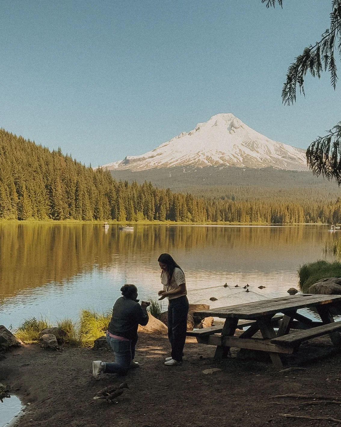 The proposal framed by a fir branch at a Trillium Lake engagement session
