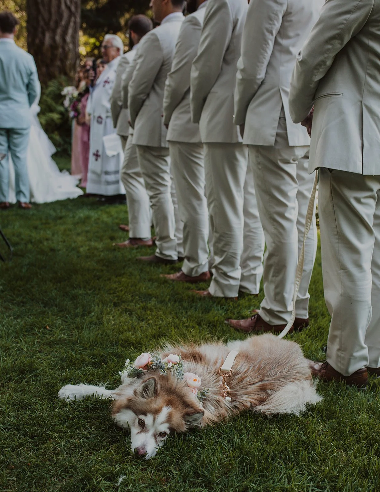 Dog wearing a flower crown stretched out on grass during the ceremony