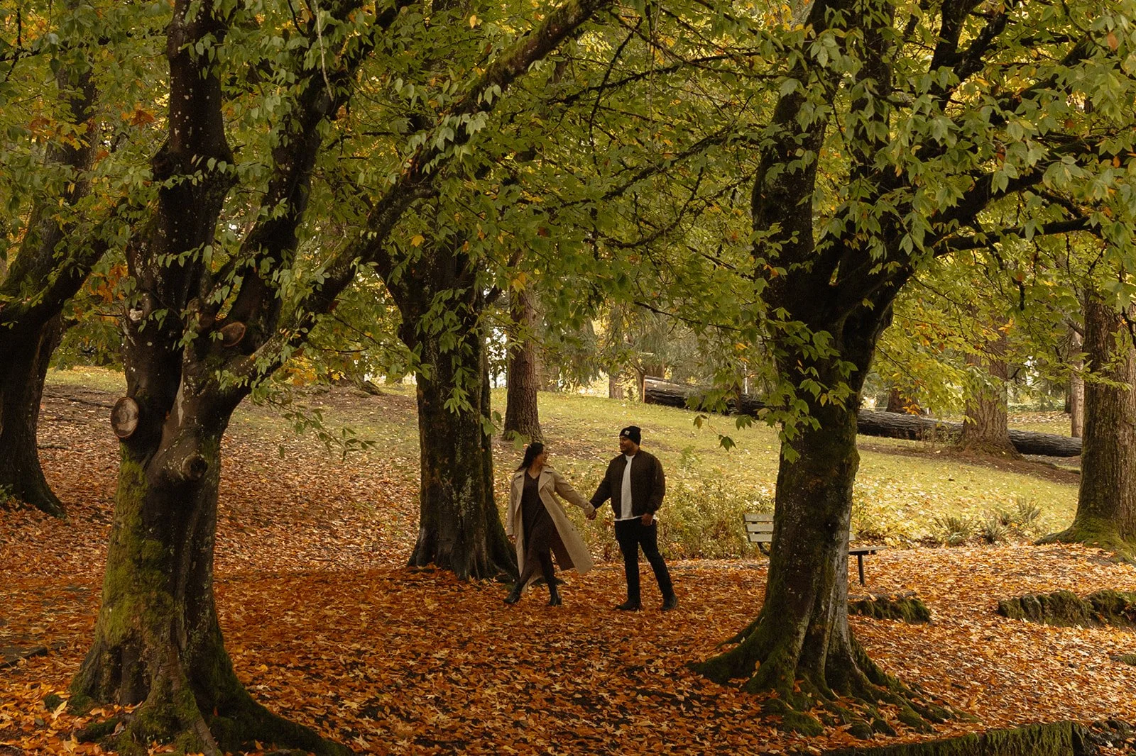Open lawn at Laurelhurst Park during a fall engagement session