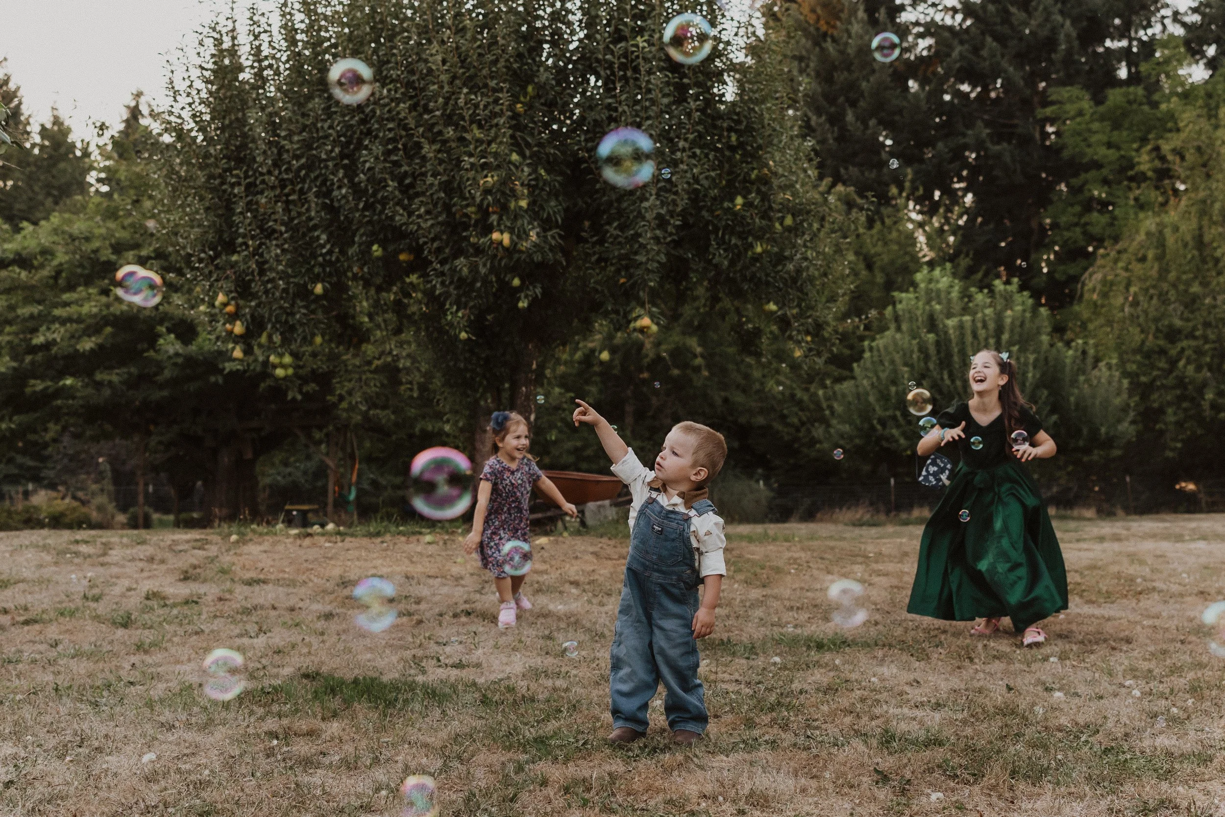 Family Session in Aurora, Oregon on the Koch Family Farm. Three children, two girls and a boy, playing outdoors in a park with soap bubbles floating around them. The girls are laughing and running, while the boy stands still.