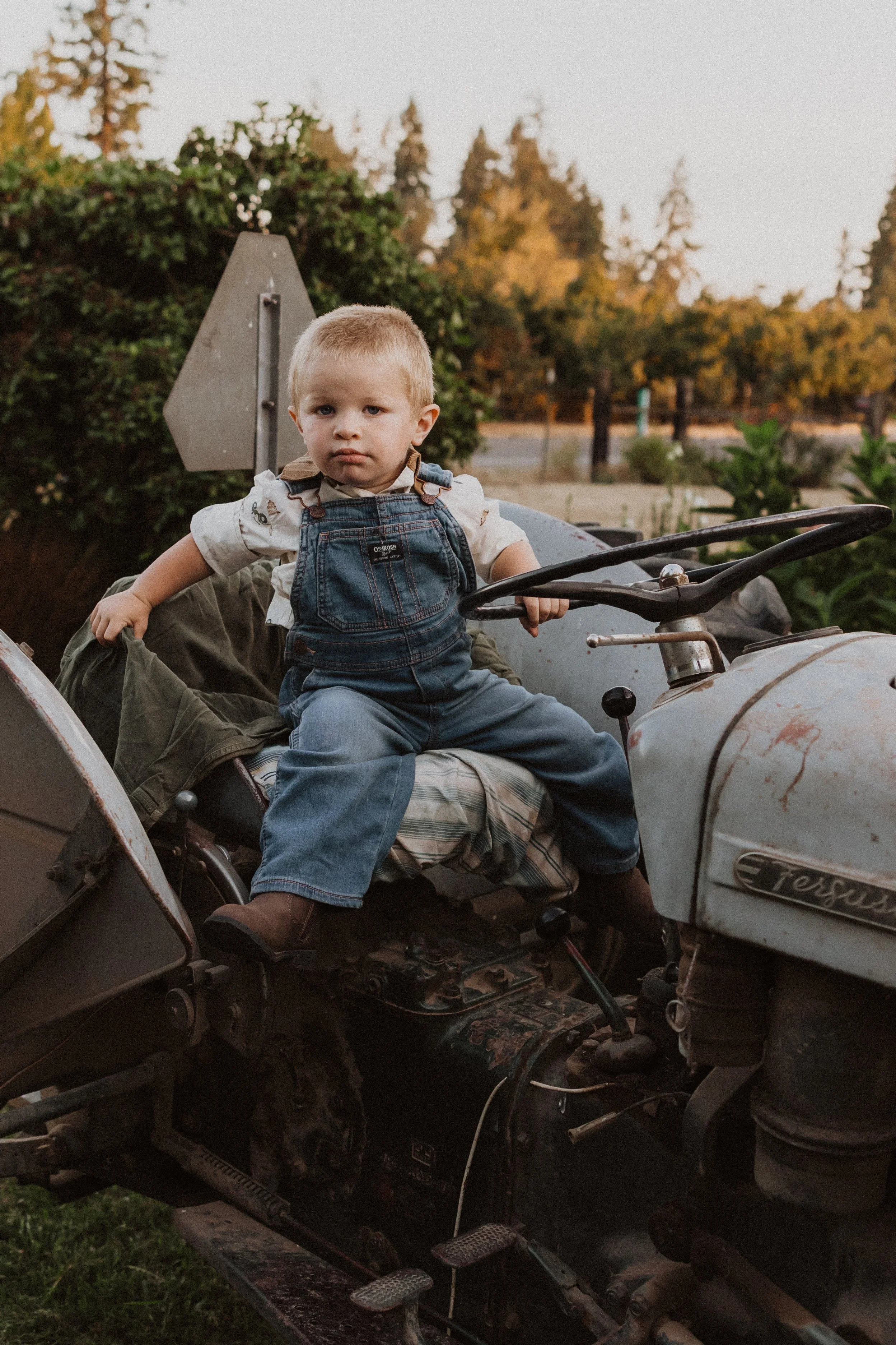 Family Session in Aurora, Oregon on the Koch Family Farm. A young boy sitting on an old, rusty Ferguson tractor outdoors during autumn, with trees and a cloudy sky in the background.