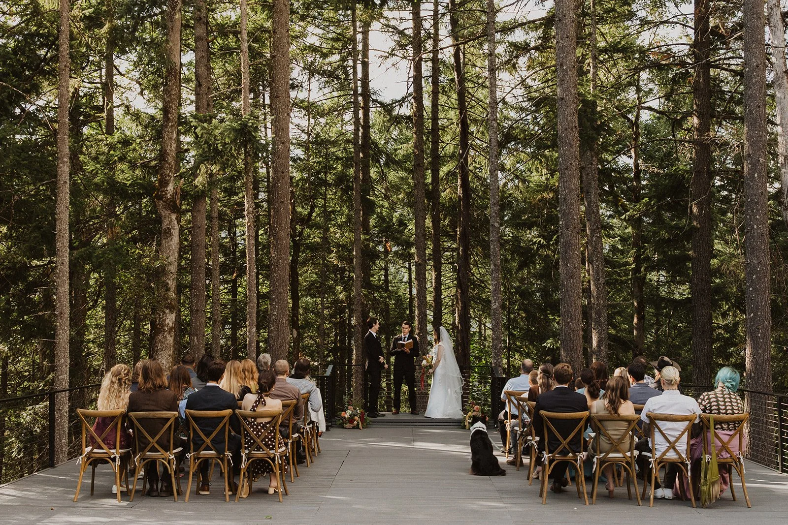 Tree deck ceremony surrounded by Douglas firs at a Rocky Hill wedding