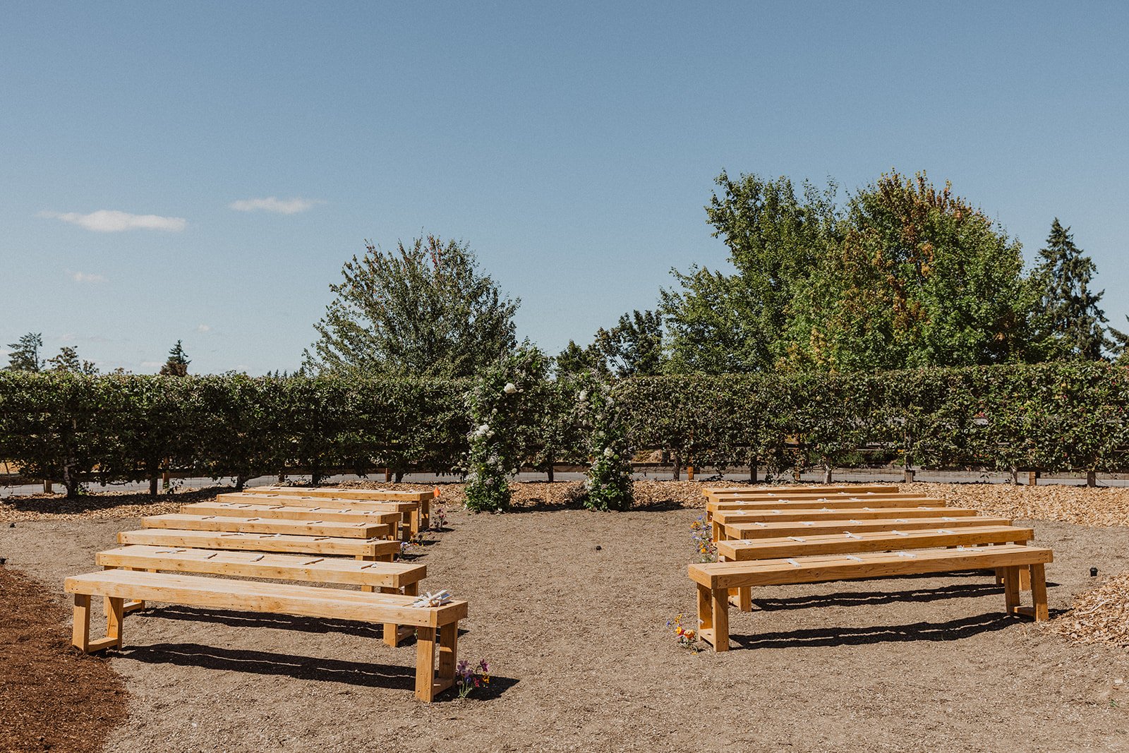 Outdoor wedding ceremony setup with simple wooden bench seating arranged aisle, facing a greenery arch backdrop under a clear blue sky