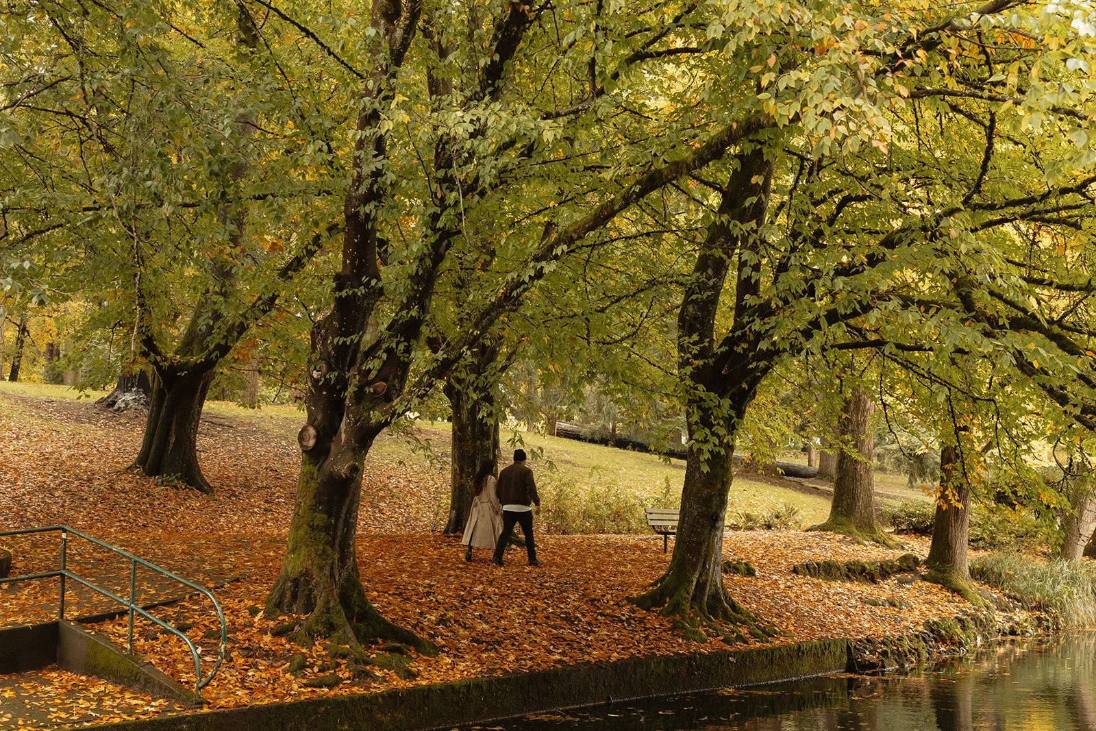 Leaves filling the entire frame behind a couple, shot from above
