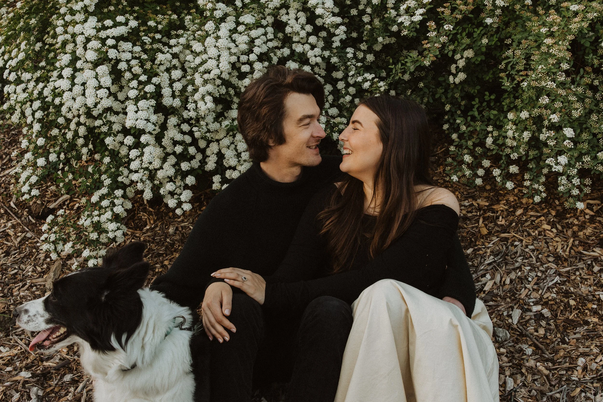 Couple sitting on the ground with their dog for their engagement photos up against a white flowering bush in Portland, Oregon
