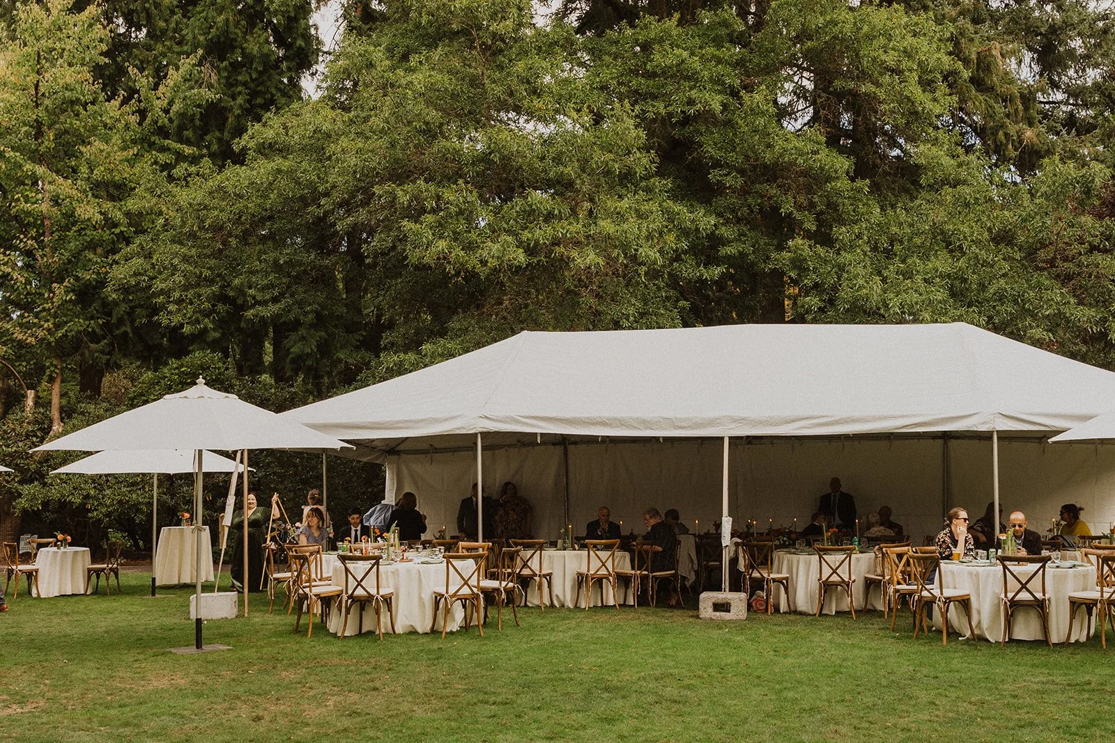 Dappled midday light falls across the lawn without anybody squinting through the reception