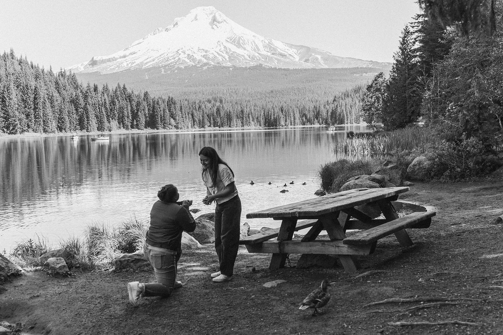 Down on one knee beside the picnic table at a Trillium Lake proposal