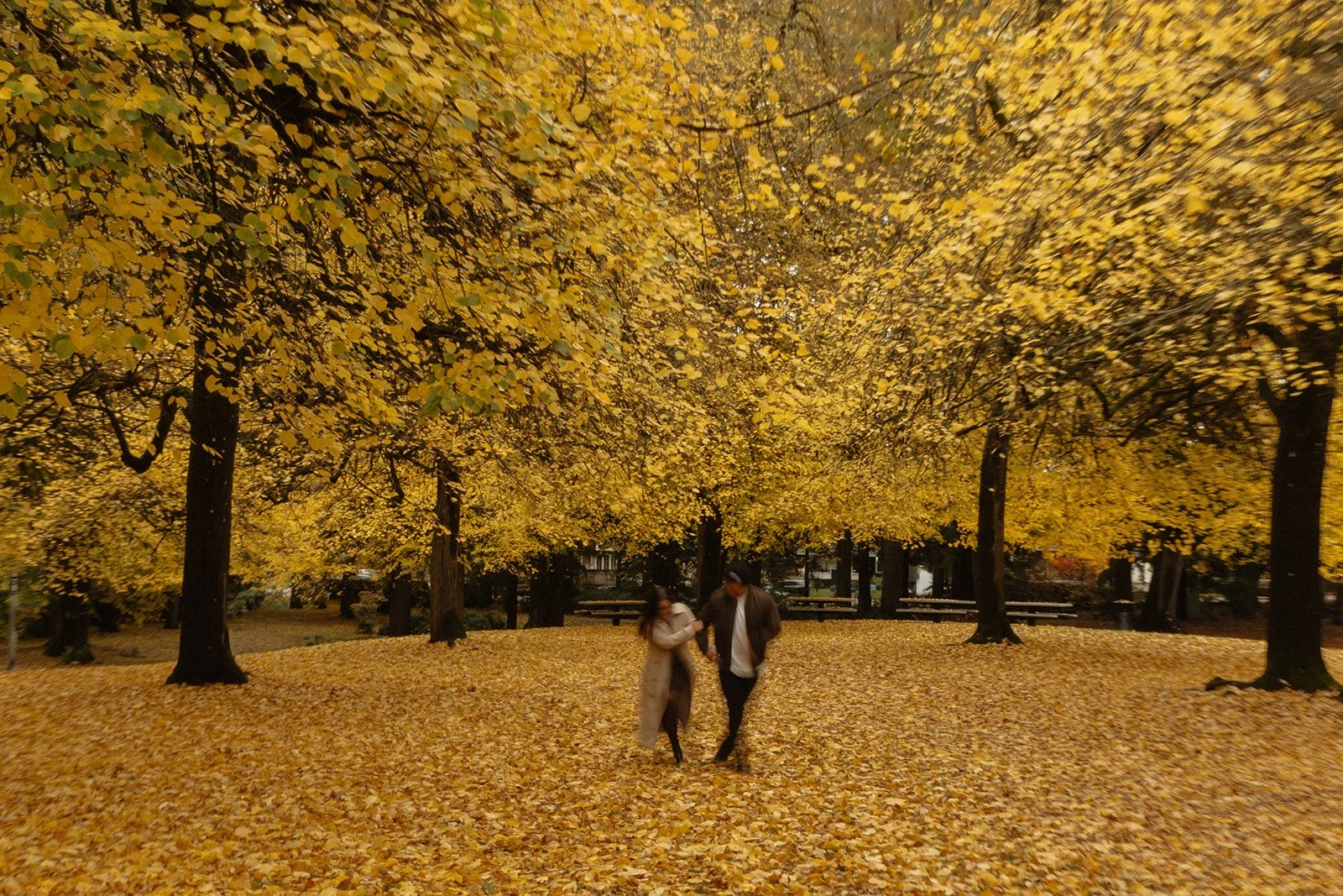 Starting earlier in the afternoon for fall engagement photos in Portland