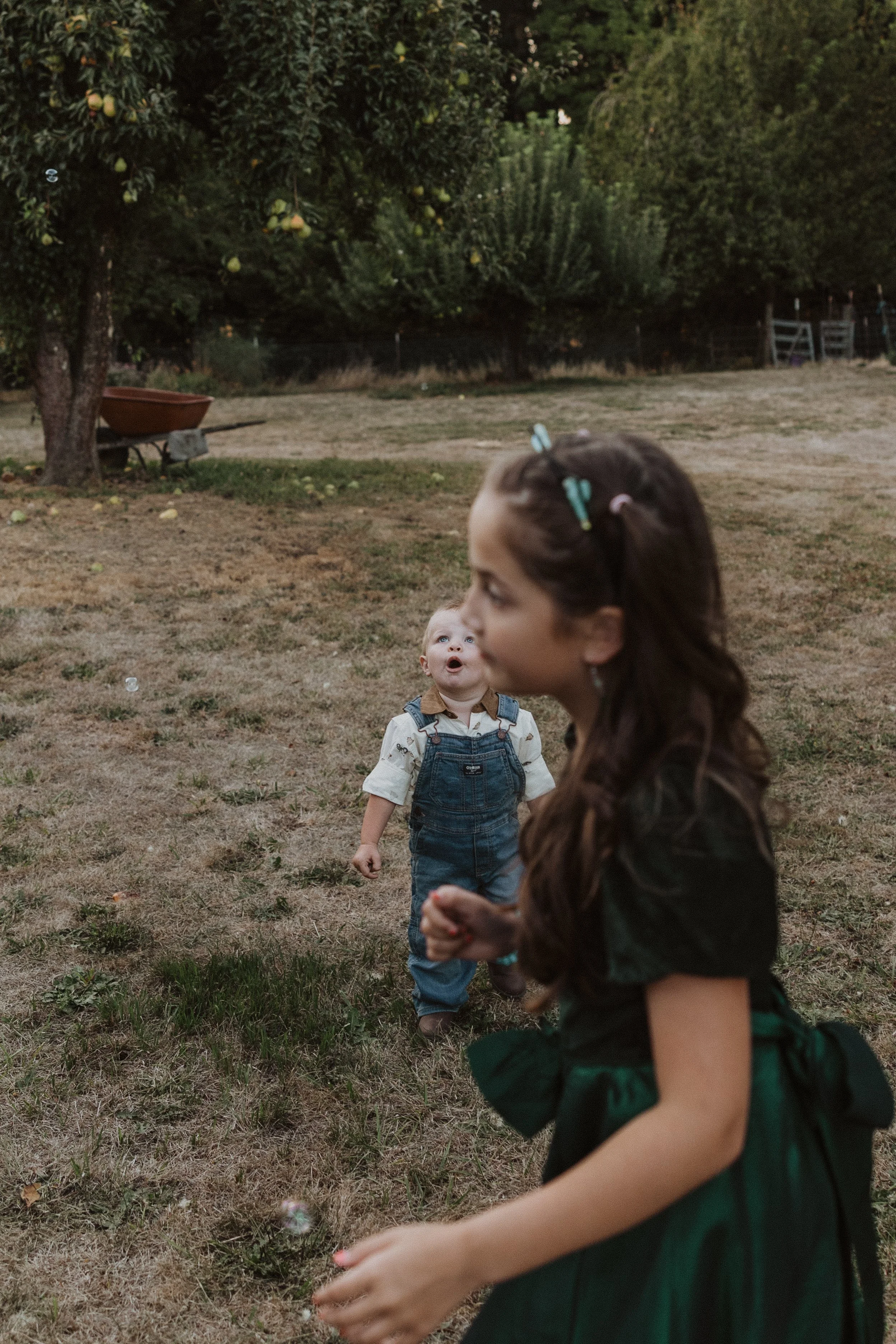 A young girl in a black and green dress with hair clips playing with a bubble in a yard. A small boy in overalls and a white shirt looks up at her, with trees and a wheelbarrow in the background.