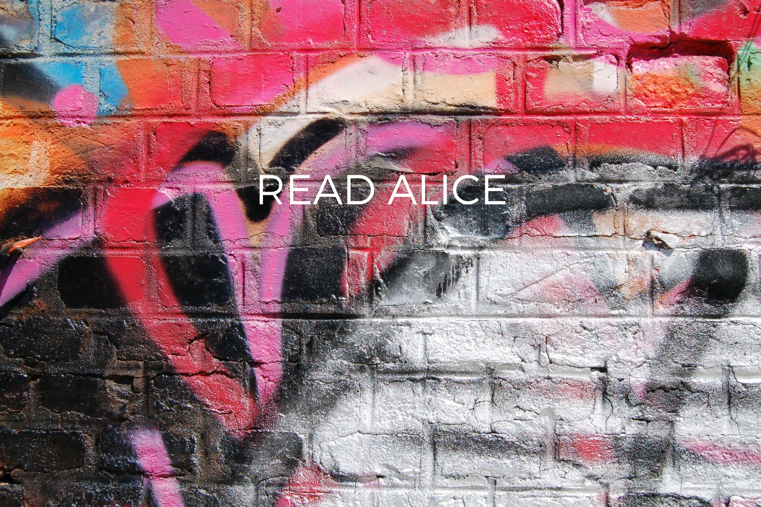 Banner Images (34).png