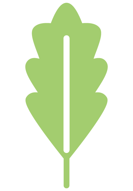 Favicon.png