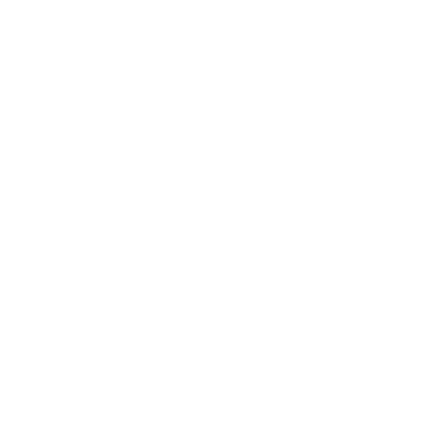 DKNY Logo_White.png