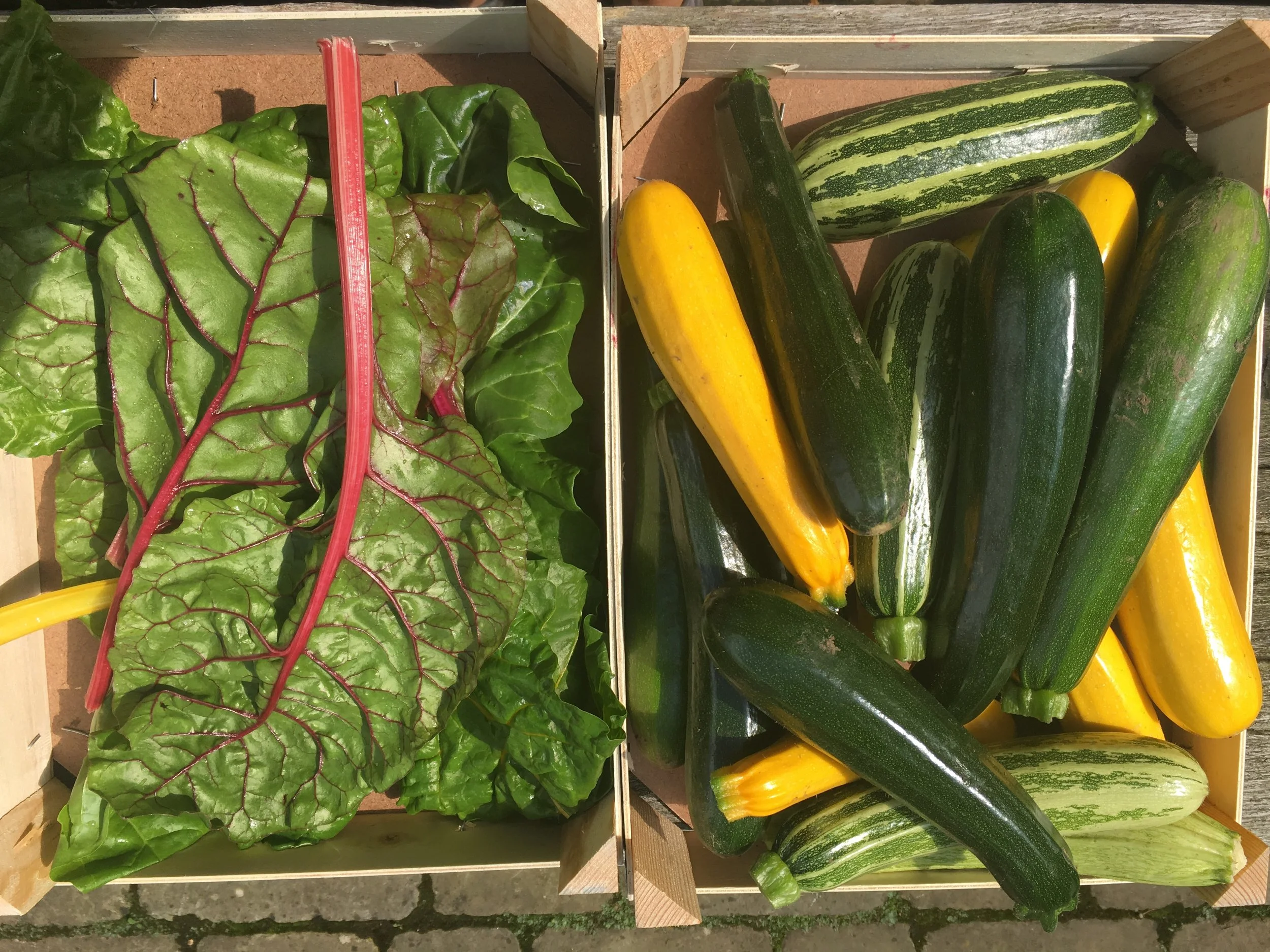 SEASONAL MIDDLE EASTERN MENU