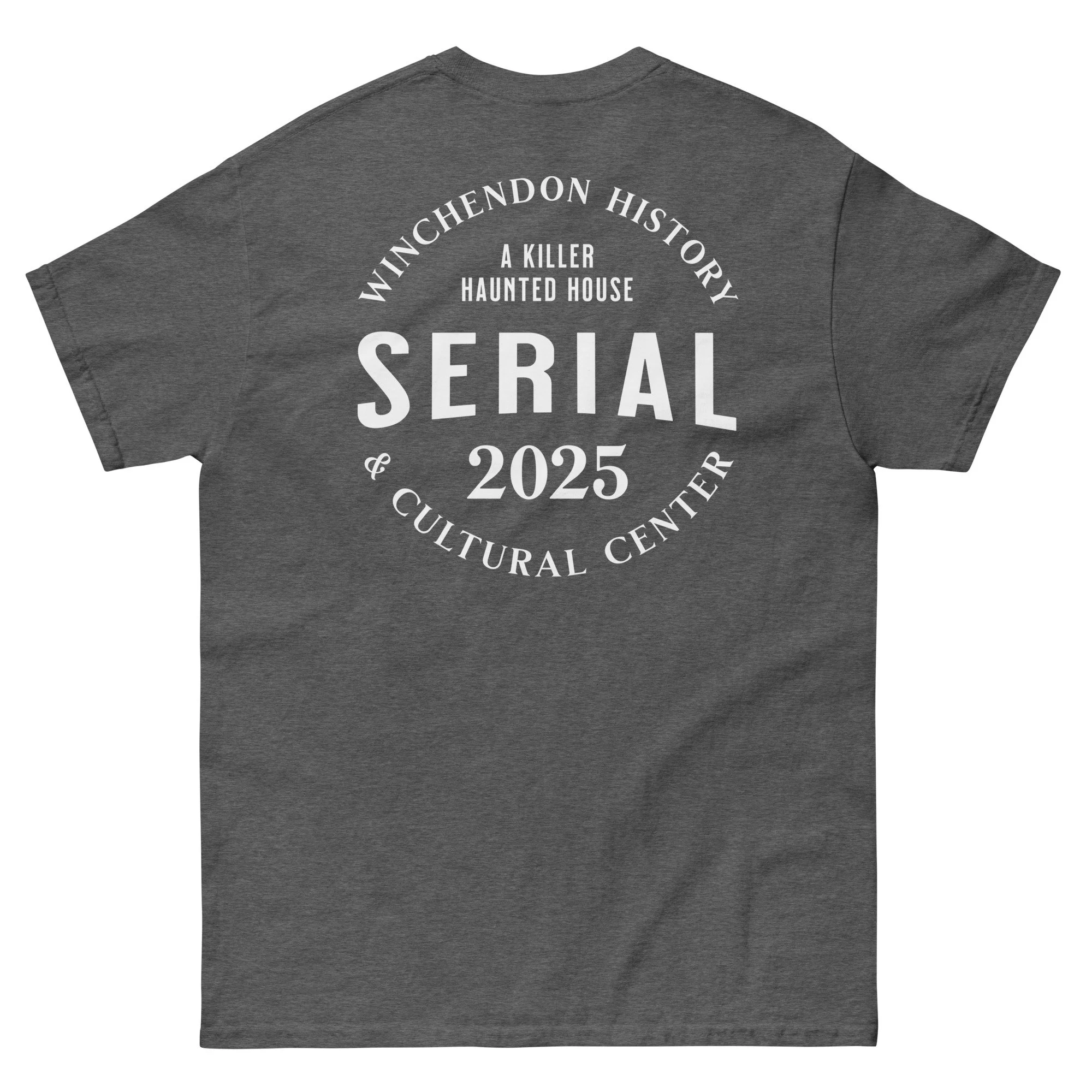 unisex-classic-tee-dark-heather-back-68f67131cc5c7.jpg