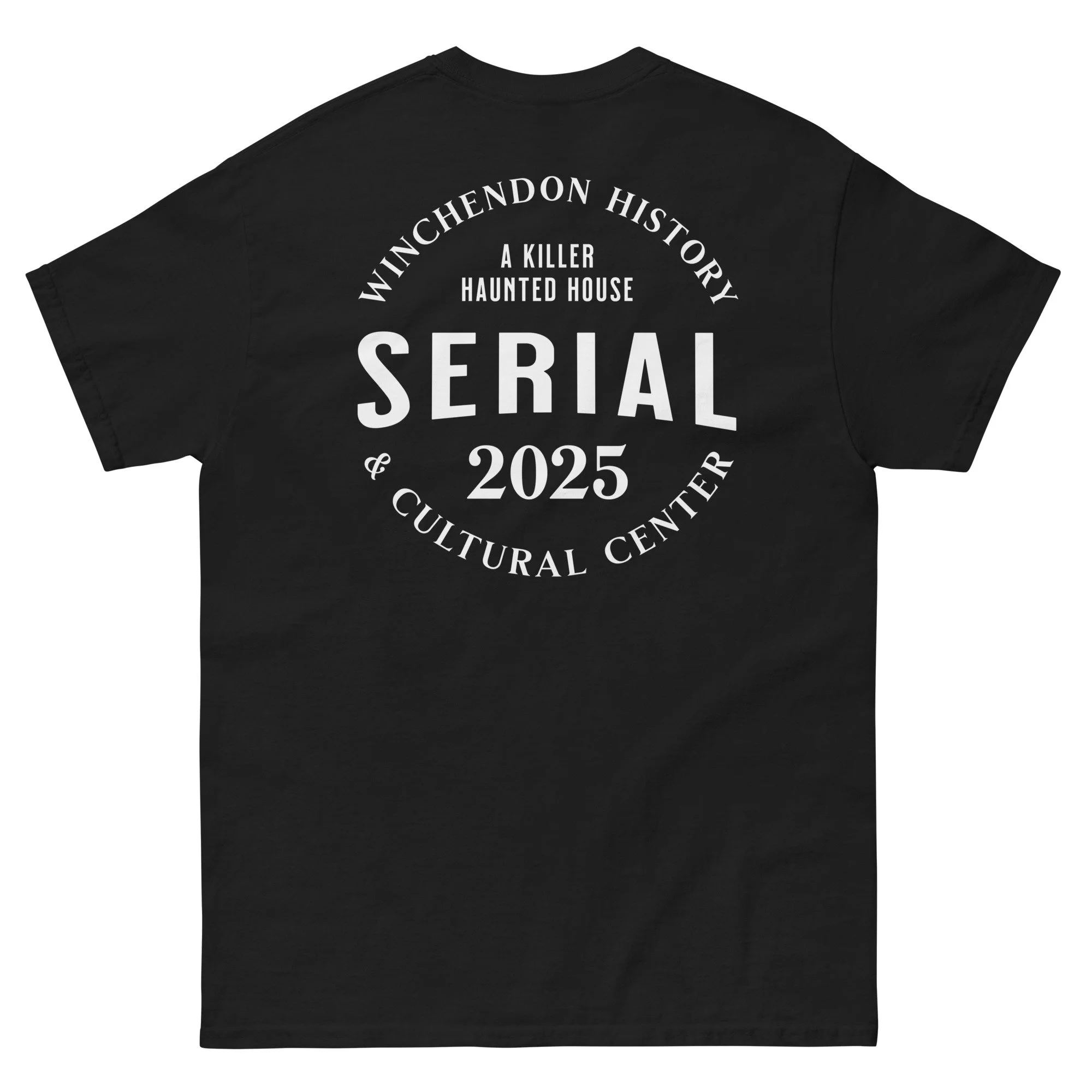 unisex-classic-tee-black-back-68f67d94736ed.jpg