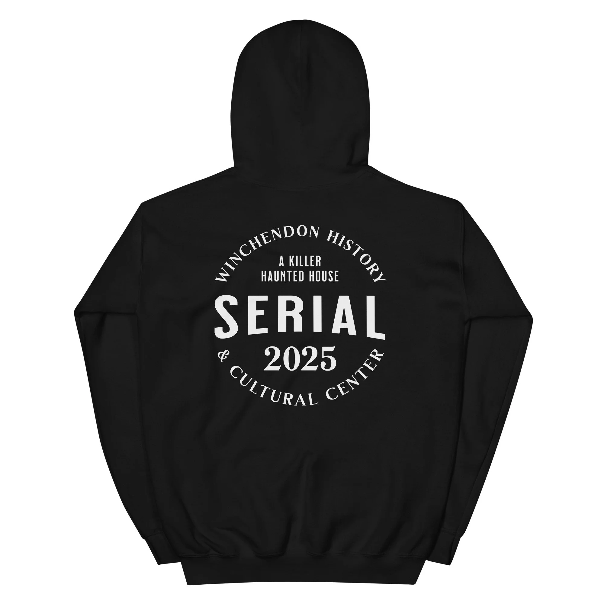 unisex-heavy-blend-hoodie-black-back-68f682b0df508.jpg