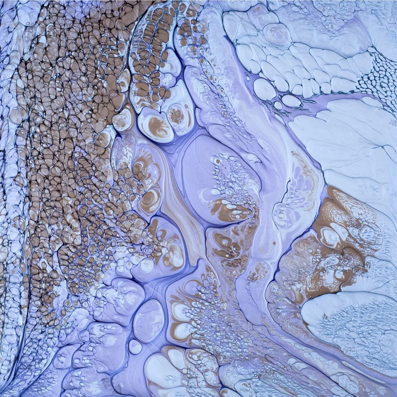 20_Detail.jpg