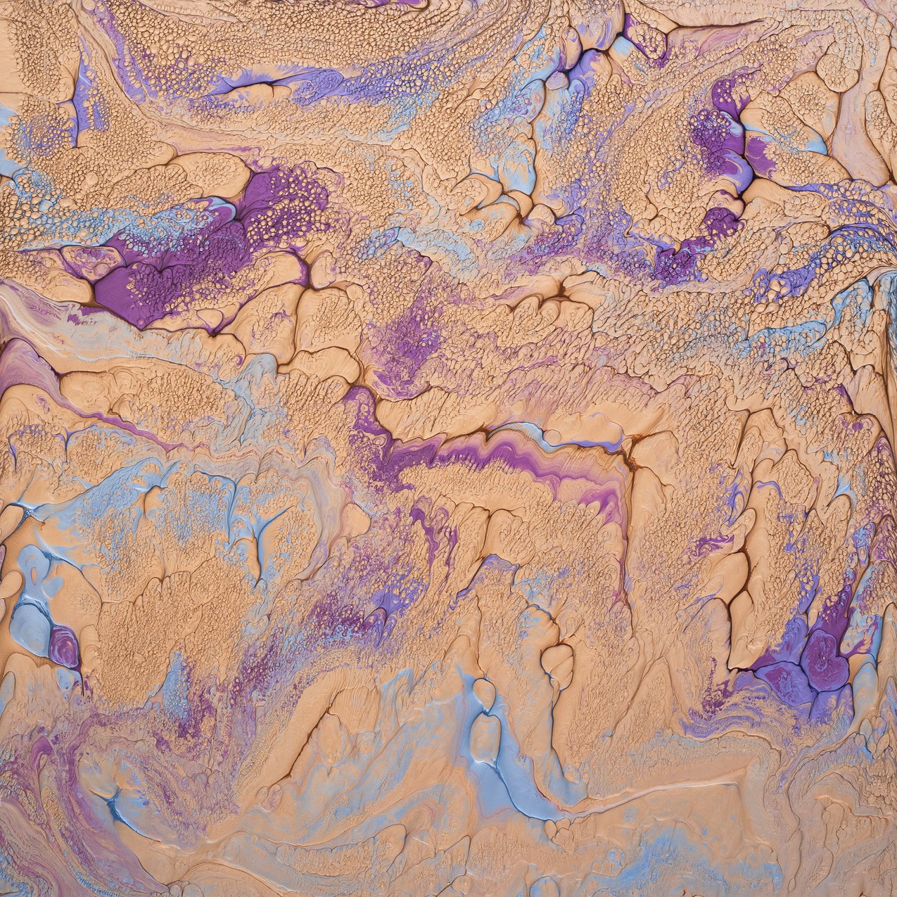 22_Painting.jpg