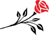 Rose.png