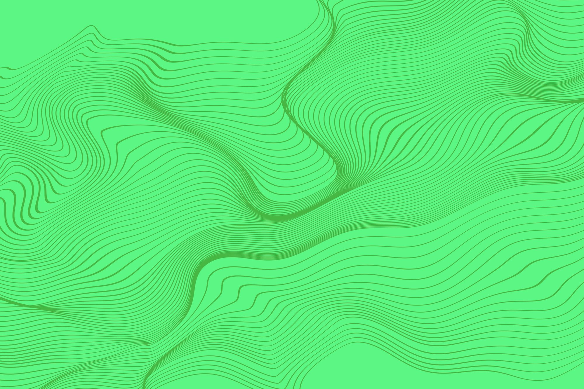 v04-lines-29.jpg
