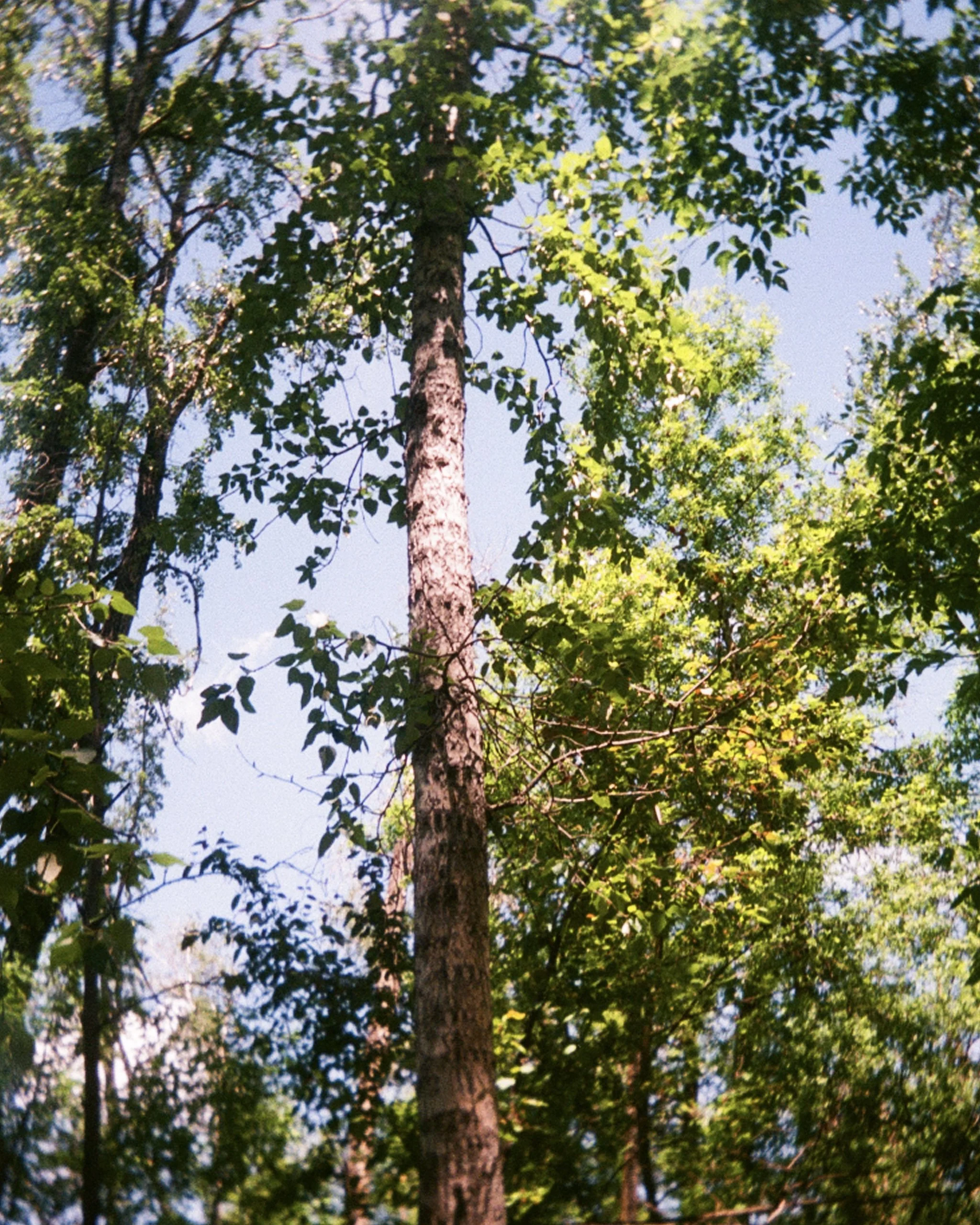 edmonton fujifilm alberta photo.jpg
