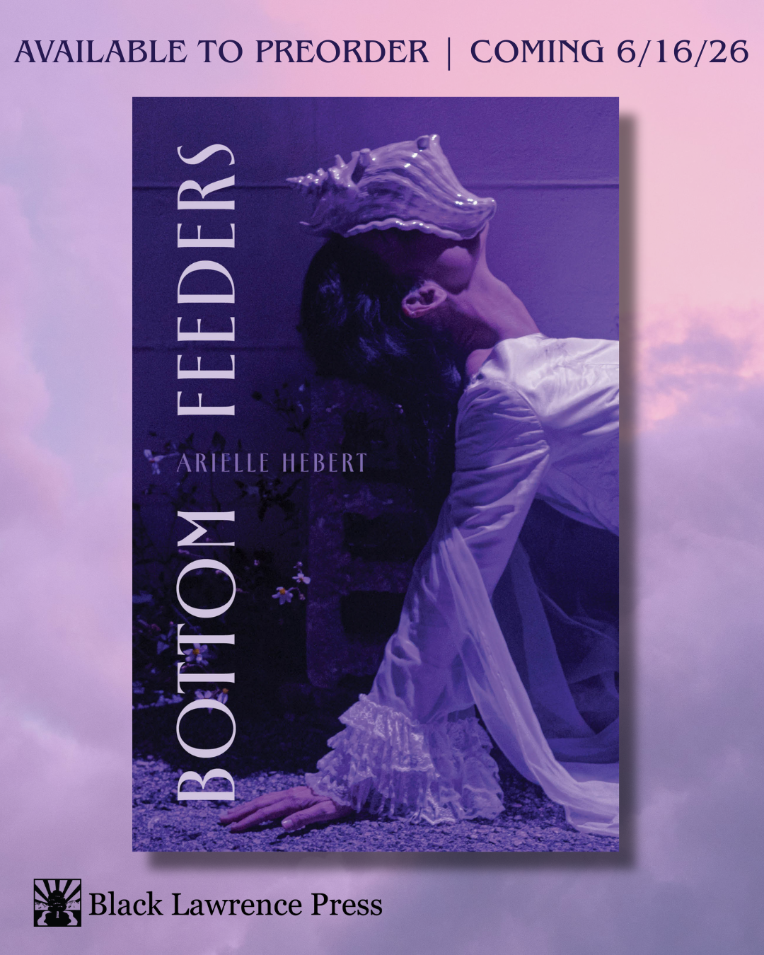 The cover for Bottom Feeders by Arielle Hebert with pink and purple clouds in the background.
