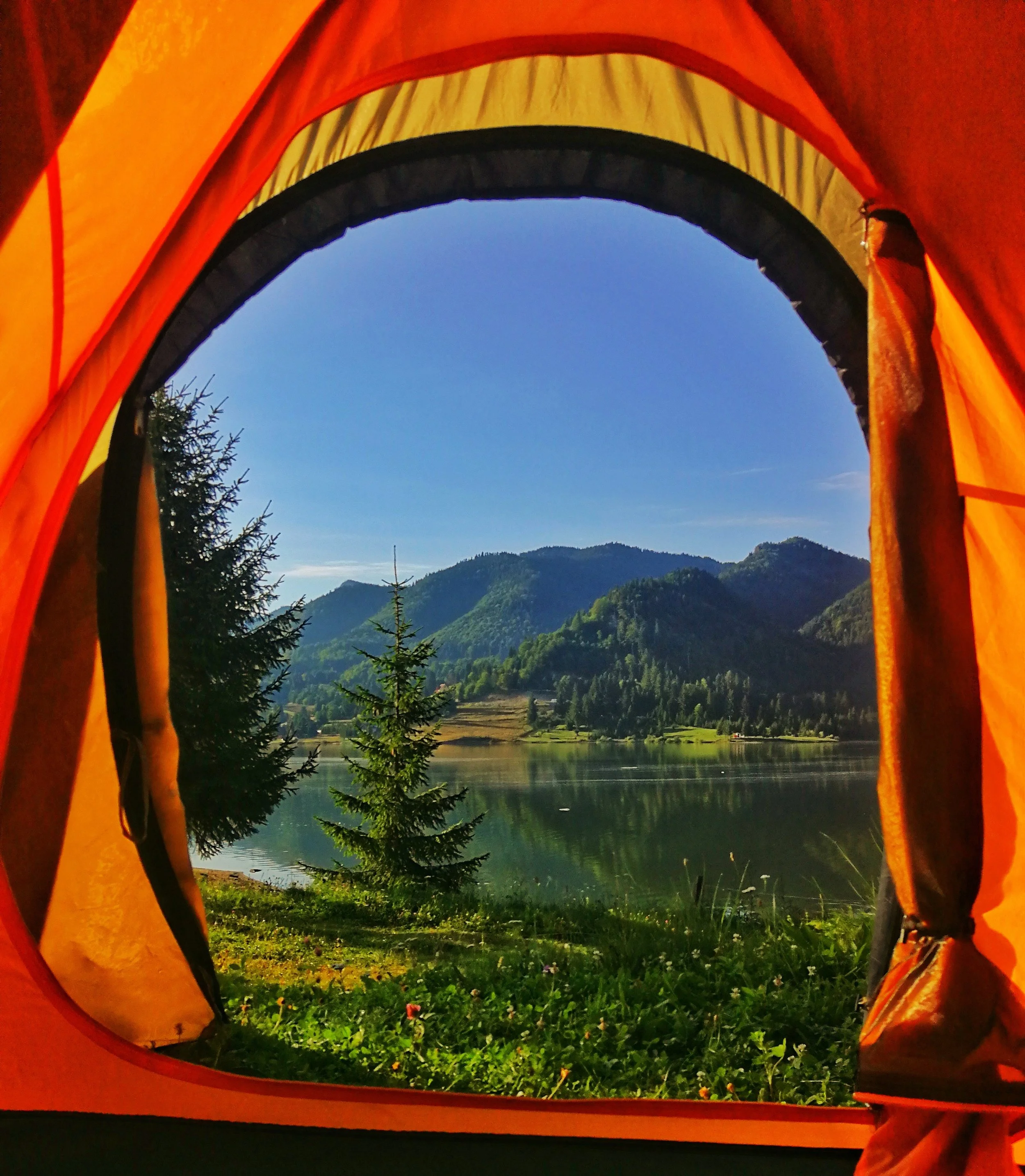 orange-and-yellow-tent-2419278.jpg
