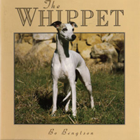 2.-The-Whippet-1994.jpg