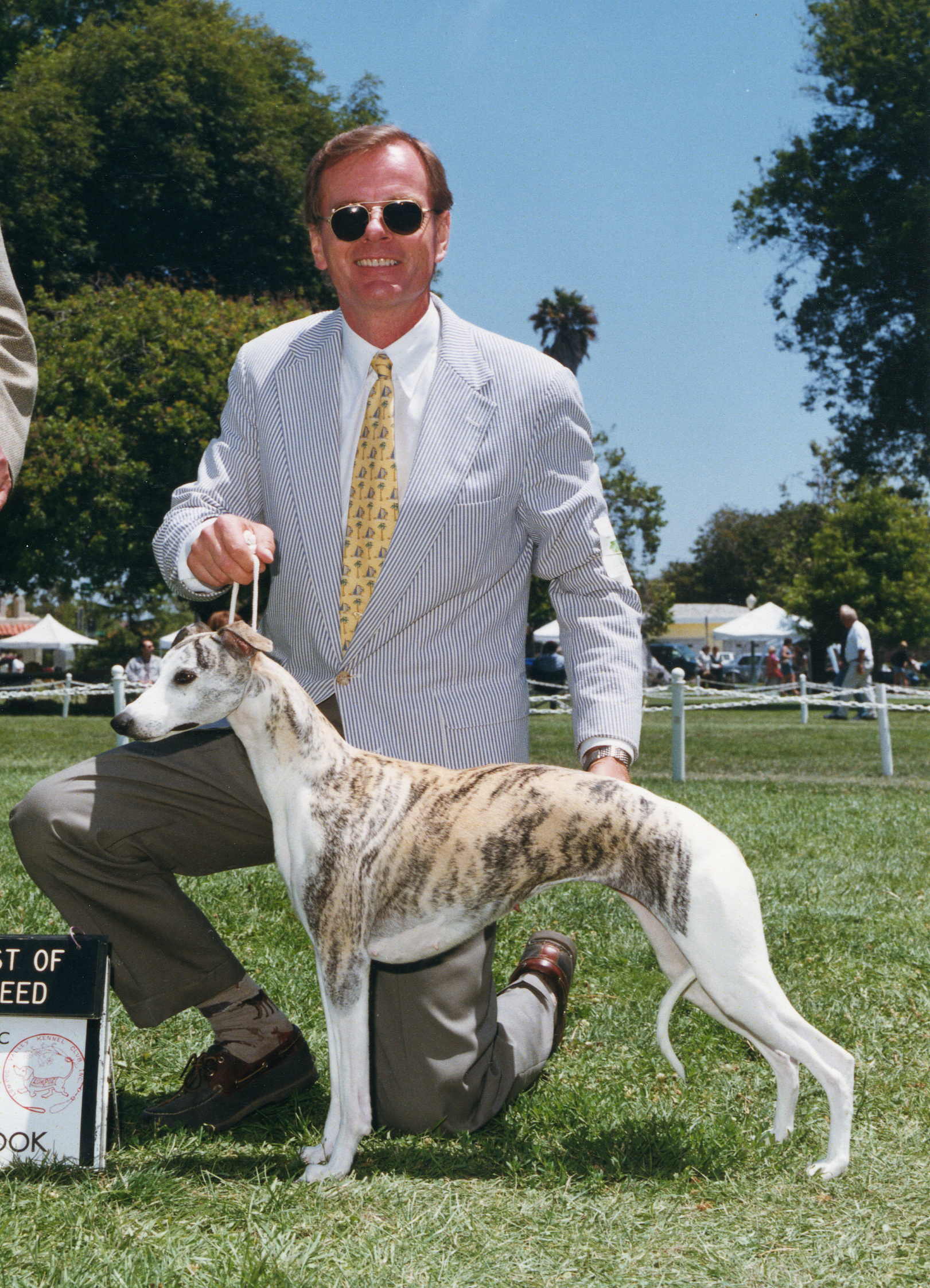 SBIS Am. Ch. Bohem All About Eve, ROMX , b. 1996 By Ch. Starline's Reign On x Ch. Bohem Of Thee I Sing Bred and owned by Bohem
