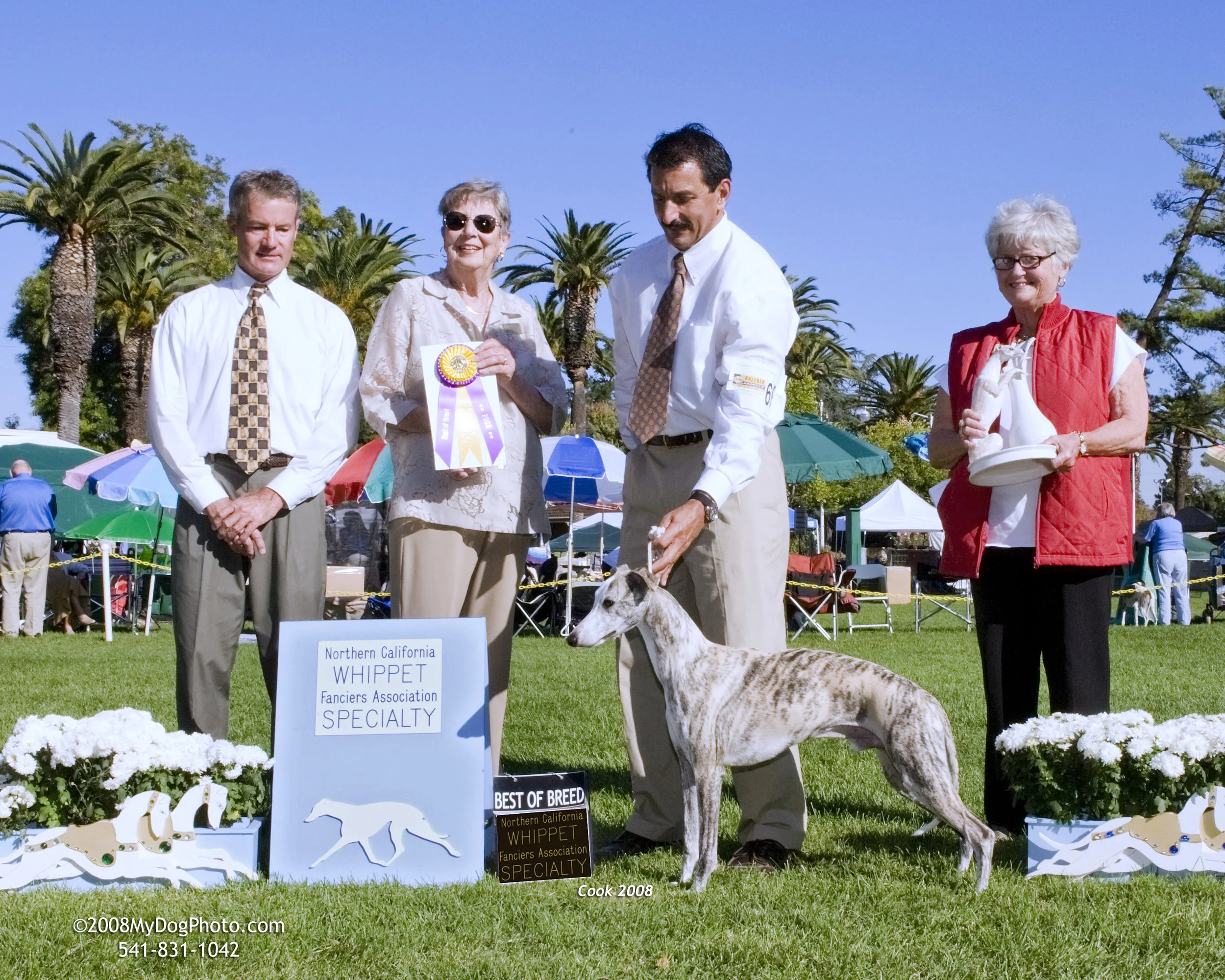 SBIS Ch. Maverick Griffin of Bohem (Griffin), b. 2006, by Ch. Bohem Three Ring Circus x Merci Isle Maverick Bandana, JC Breeders Rachel & Henry Heil Owned by Michael Strockbine, Reed Hellyer & Bohem