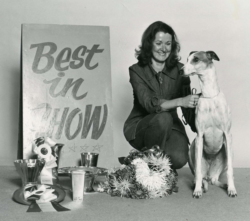 Greyhound Int. Ch. Piruett (bred by Göran Bodegård & Bohem) with Birgitha Runmarker, BIS at the FCI international show in Stockholm 1974.