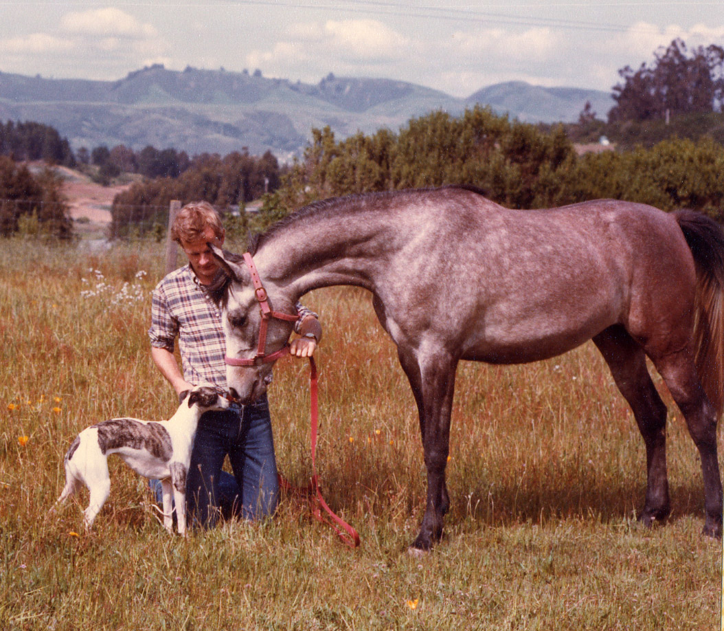 Swedish import Colt's Halfpenny (Linda) with Bo and the Arabian mare Raffdazona, mid-1980s.