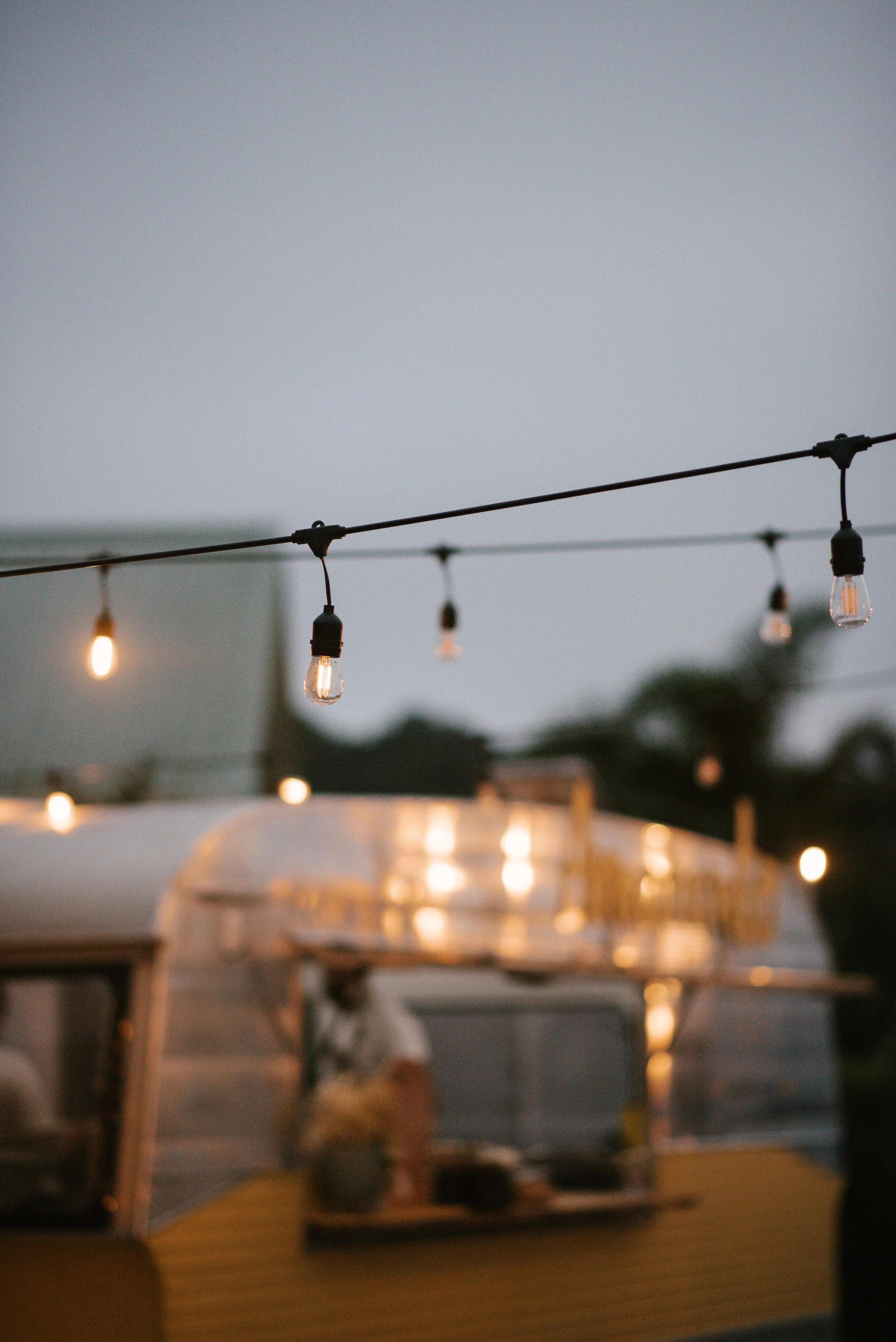 FESTOON LIGHTING