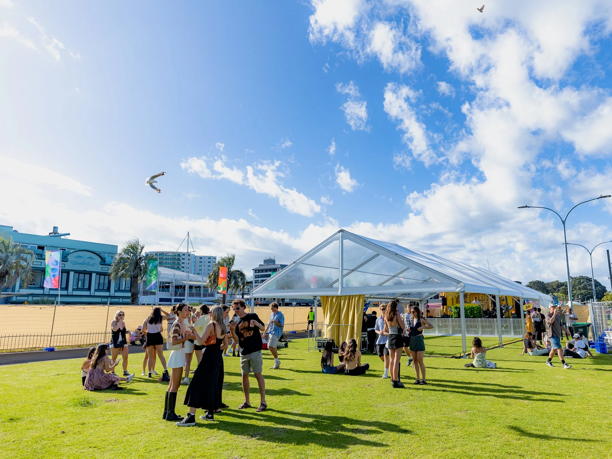 IN BLOOM - DEPARTMENT OF ARTS