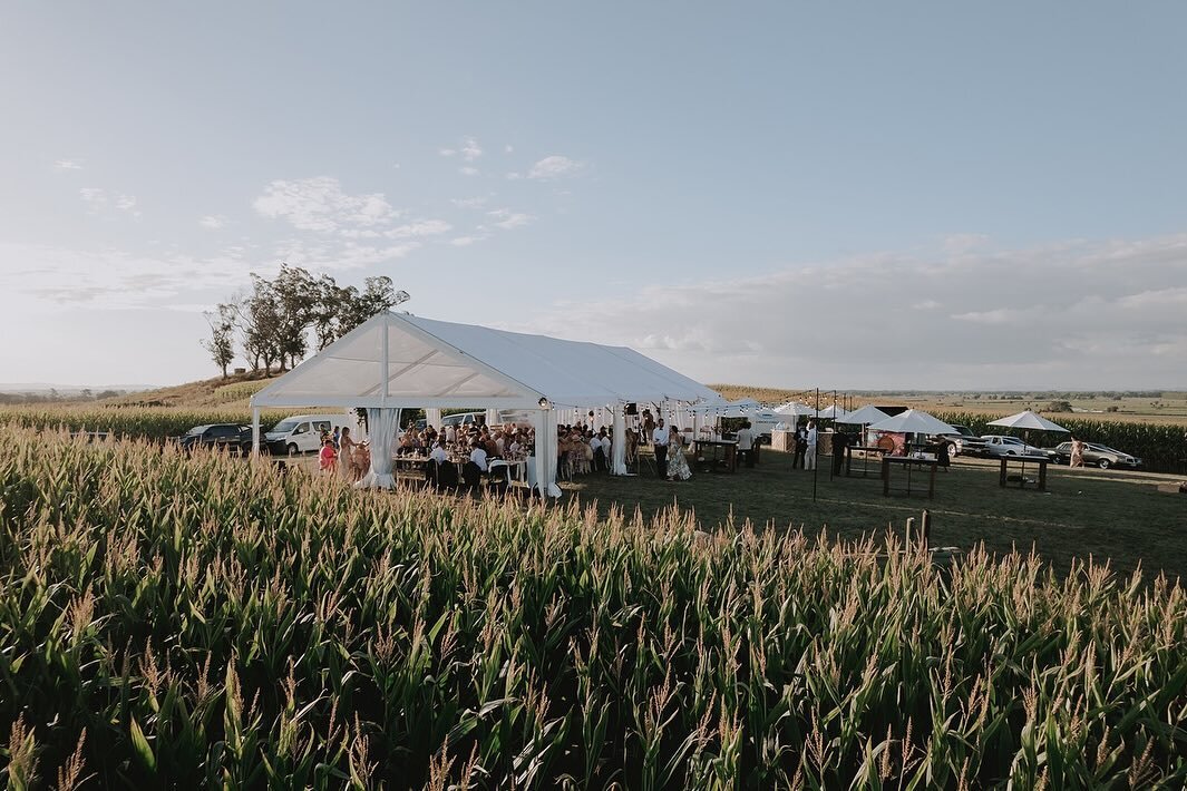 The most insane aerial shots for Rosanna &amp; Jack of the grandest marquee you ever did see 💛 a special spot left amongst the crops on their family farm and it really did make for the most incredible clear marquee wedding spot! 🌾 @savannahwalkerwe