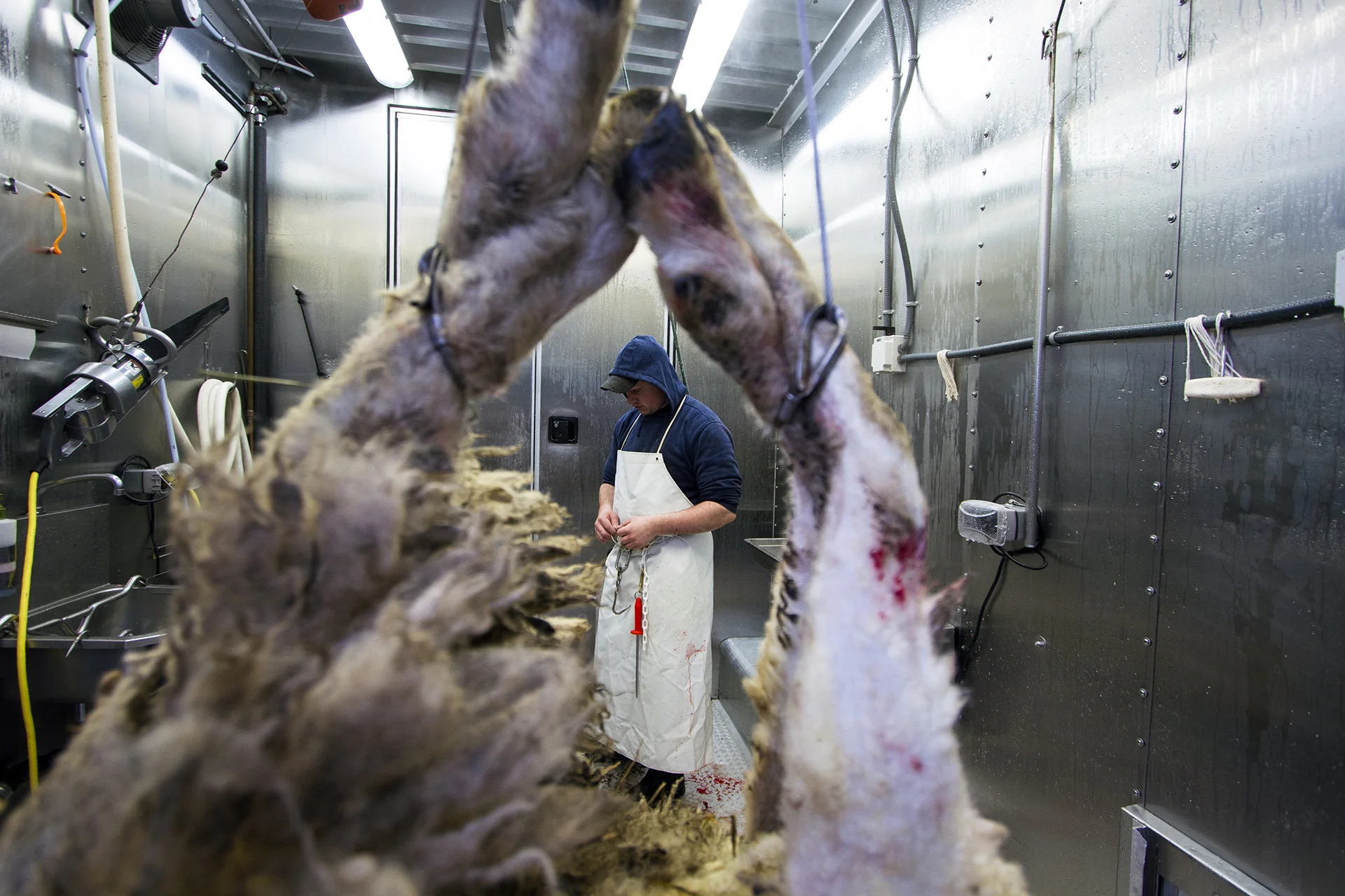 LOL-SDN-Slaughterhouse on Wheels-011.jpg